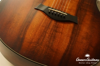 TGS2014 GSce-Koa
